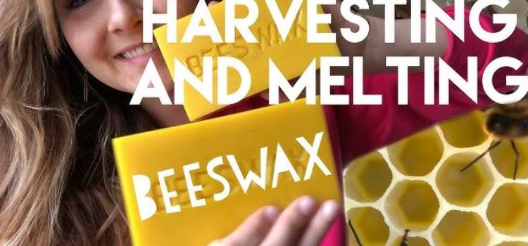 Can You Microwave Beeswax?