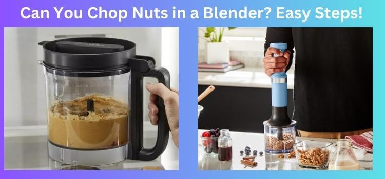 Can You Chop Nuts in a Blender Easy Steps!