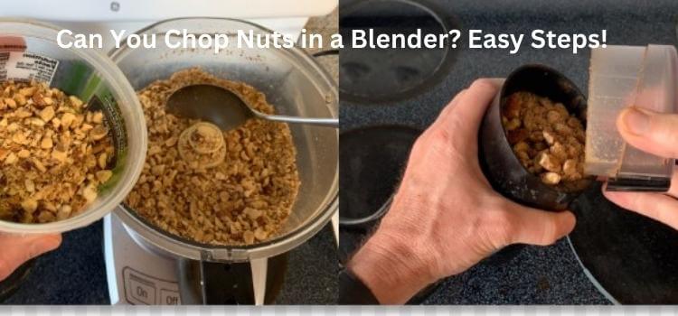 Can You Chop Nuts in a Blender Easy Steps!