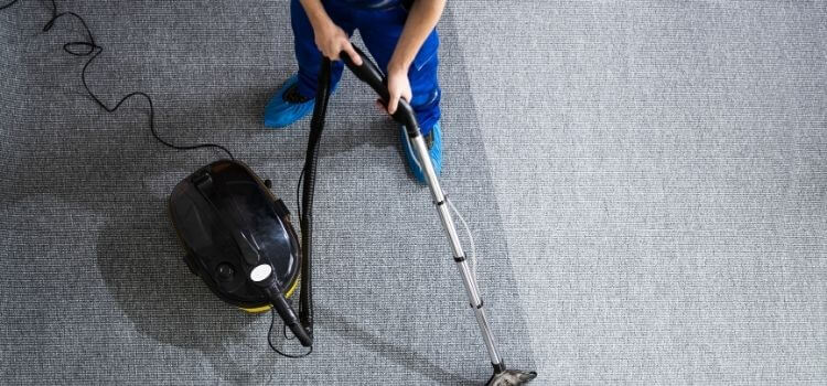 Can You Vacuum Ants Out of Carpet