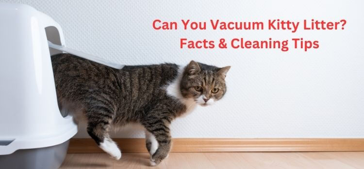 Vacuum Kitty Litter