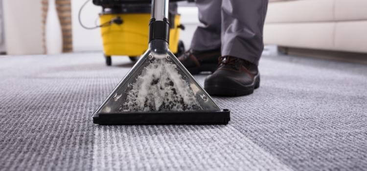 Do You Vacuum After Carpet Cleaning Best Guide