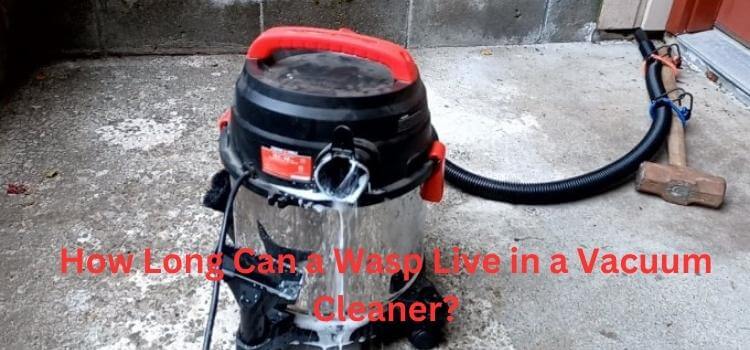 How Long Can a Wasp Live in a Vacuum Cleaner