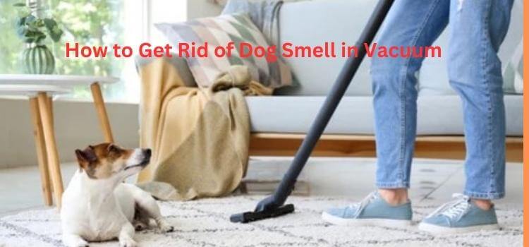 How to Get Rid of Dog Smell in Vacuum