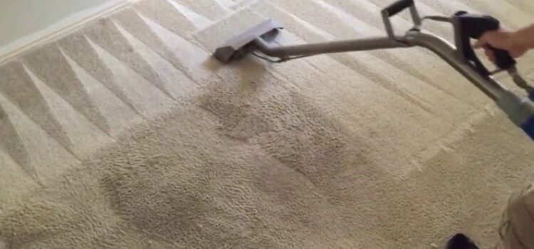 How to Make Carpet Lines with a Vacuum