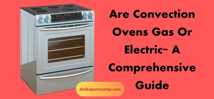 Are Convection Ovens Gas Or Electric A Comprehensive Guide