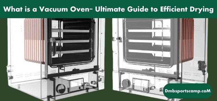 What is a Vacuum Oven Ultimate Guide to Efficient Drying